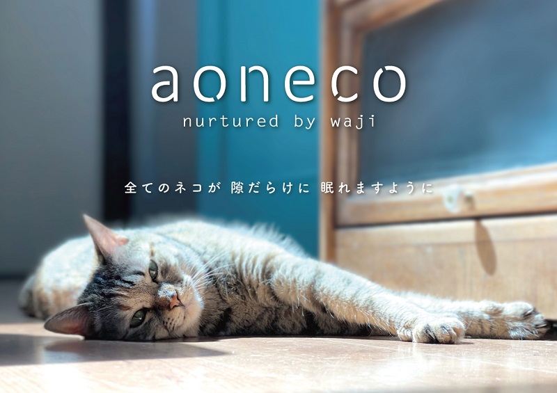 ものづくりで保護ネコ支援-aoneco- クラウドファンディング第二弾実施